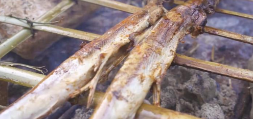 小哥在野外烤鲨鱼来吃这才是真正的野味你吃过鲨鱼吗