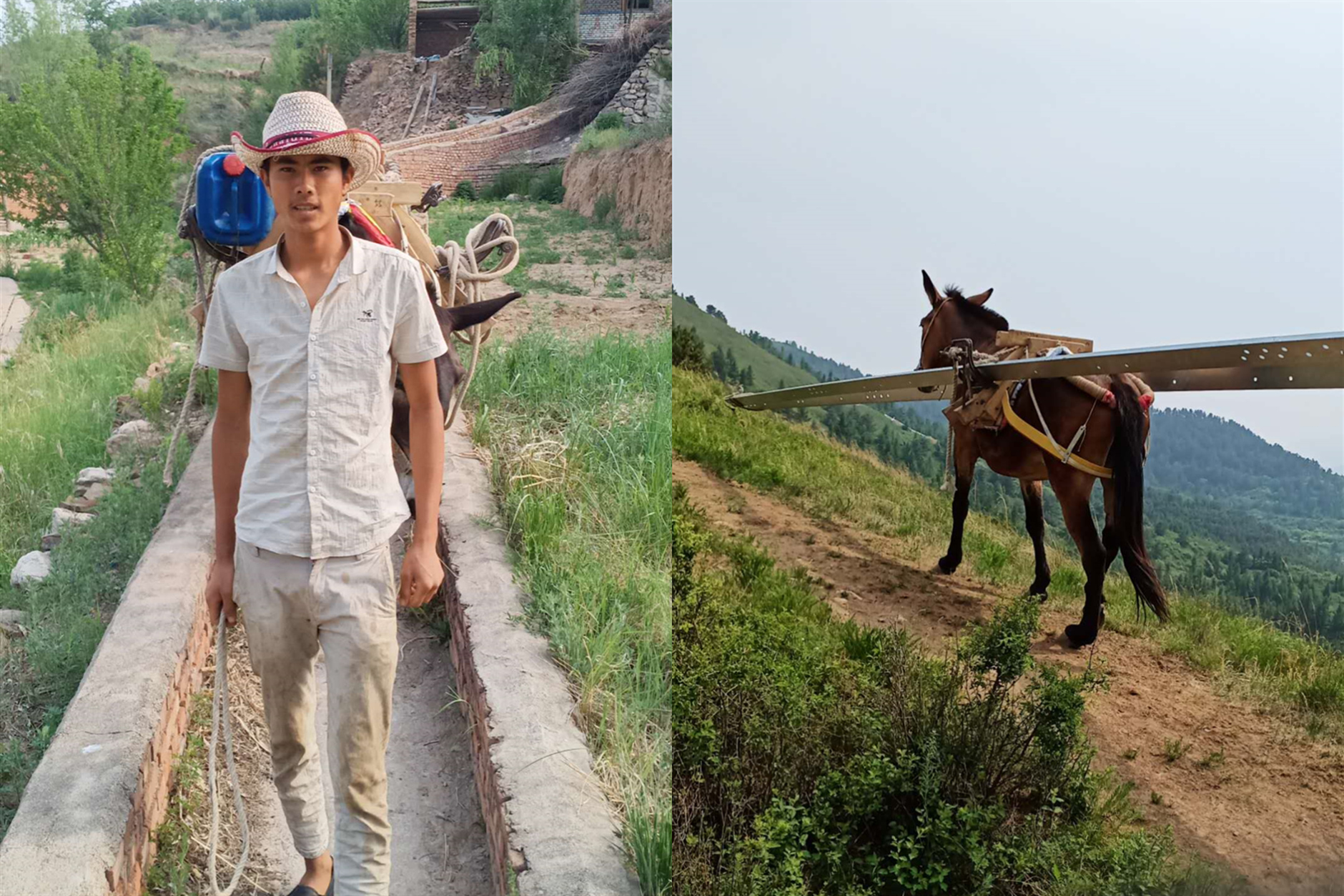 98年凉山小伙14岁独自跑马帮常年生活在深山密林月入最高30万