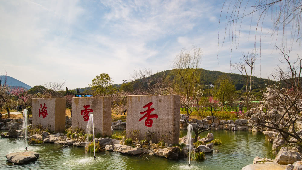 苏州邓尉山香雪海这里的梅花盛开时如雪花覆盖