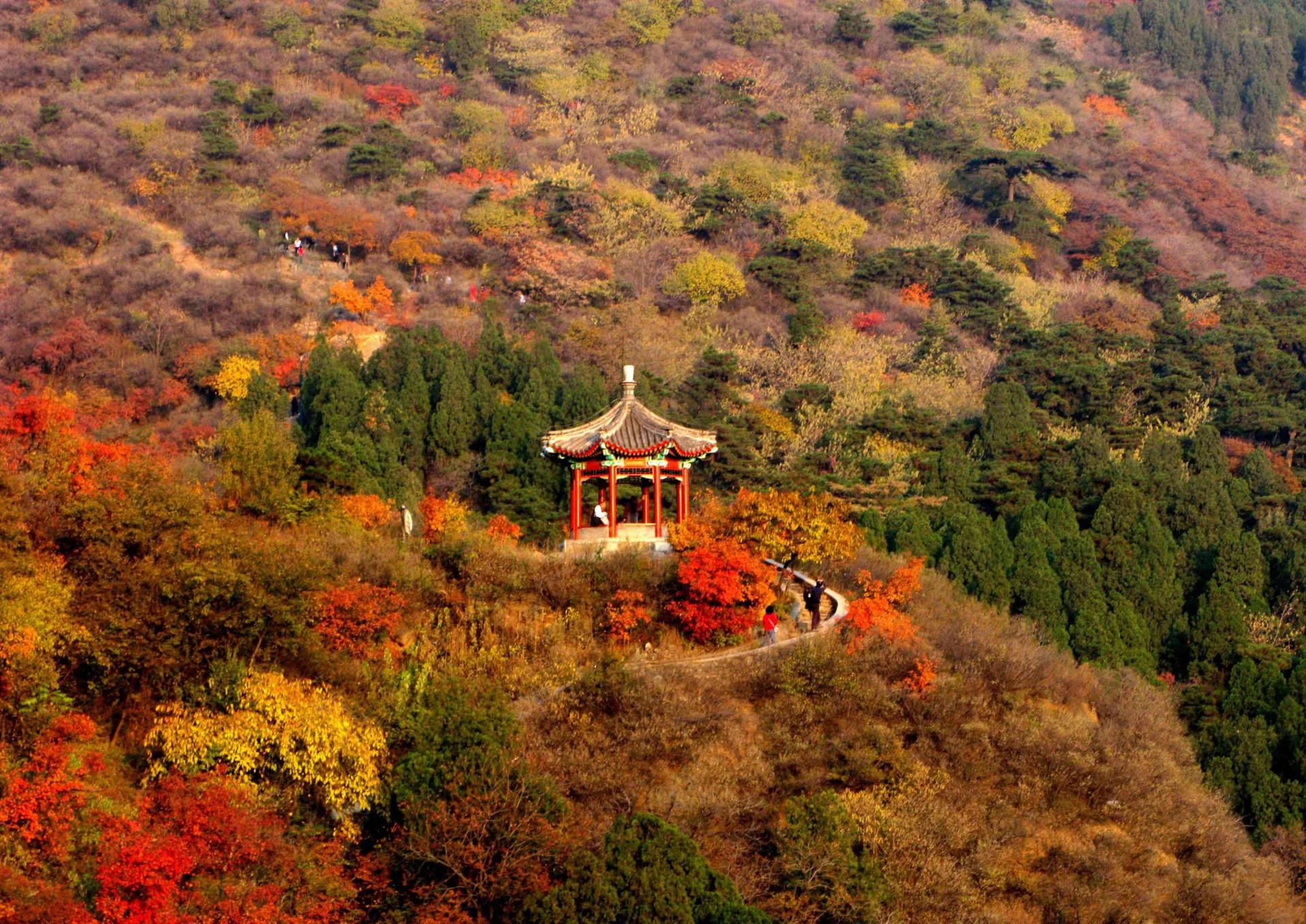 门票只需10元,每天游客不断|红叶景区|香山|当地人_新浪新闻