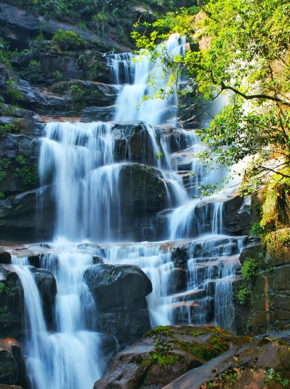 全国罕见的绝美瀑布,武夷山青龙瀑布,密林深处虫语泉吟的仙境