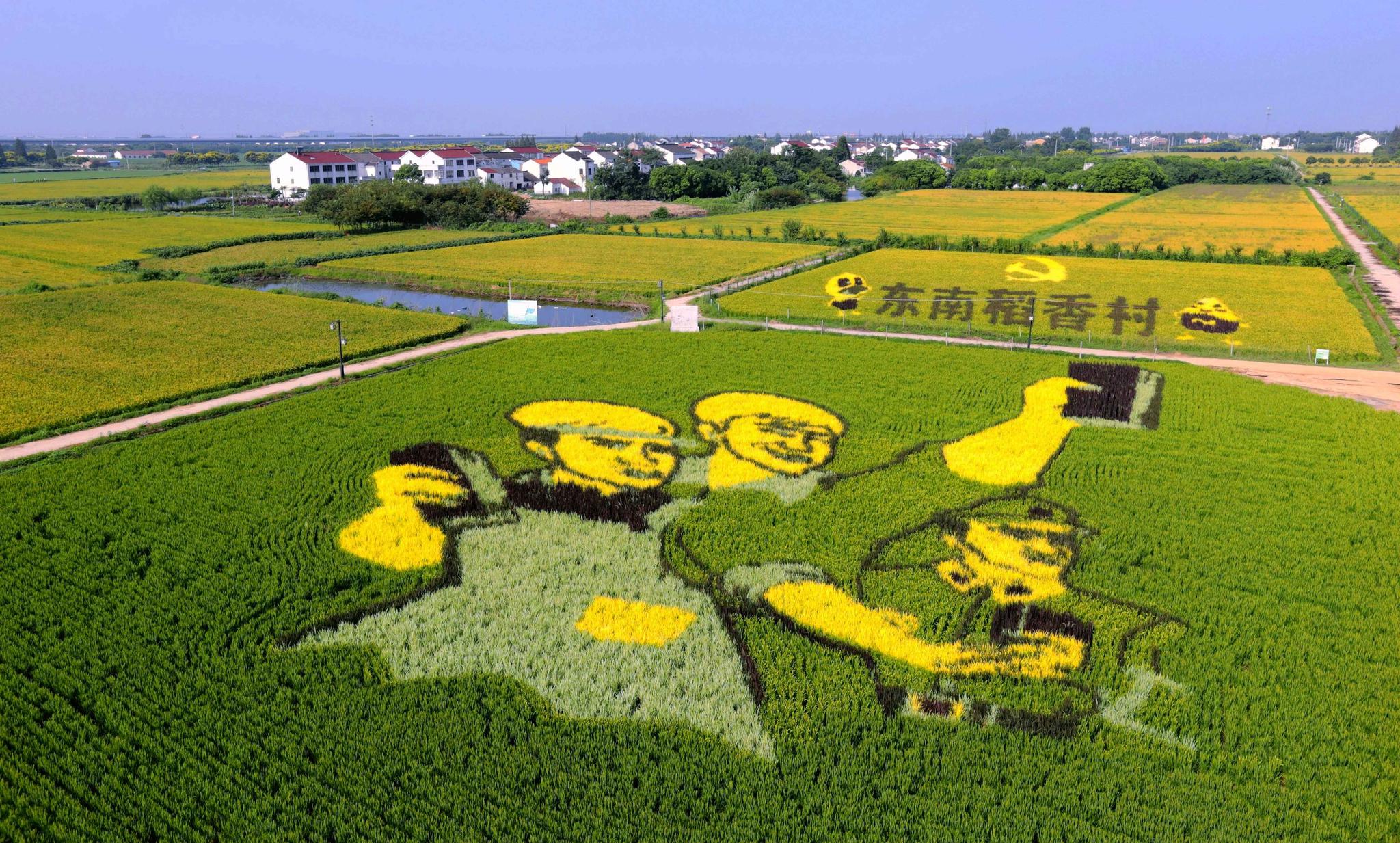 农天下之大业也东南村精心绘制稻田艺术画礼赞丰收节