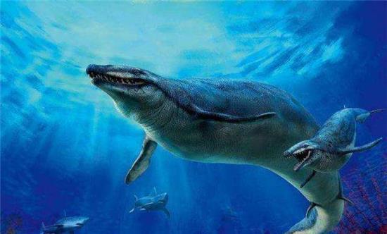 利维坦鲸曾是海中霸主,体型和攻击力都非常强大
