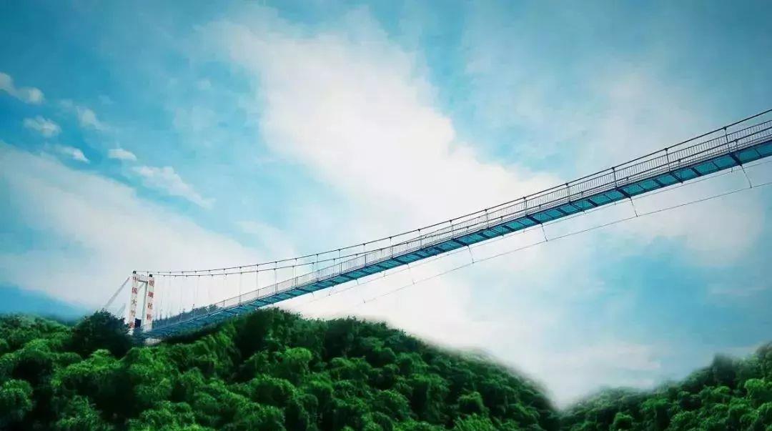 中国最长竹海玻璃天桥今天惊艳亮相!|天桥|竹海|中国大竹海_新浪新闻