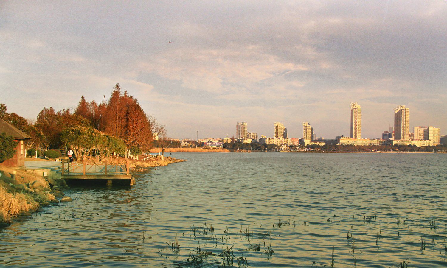 团氿湿地公园风景实拍(江苏宜兴)