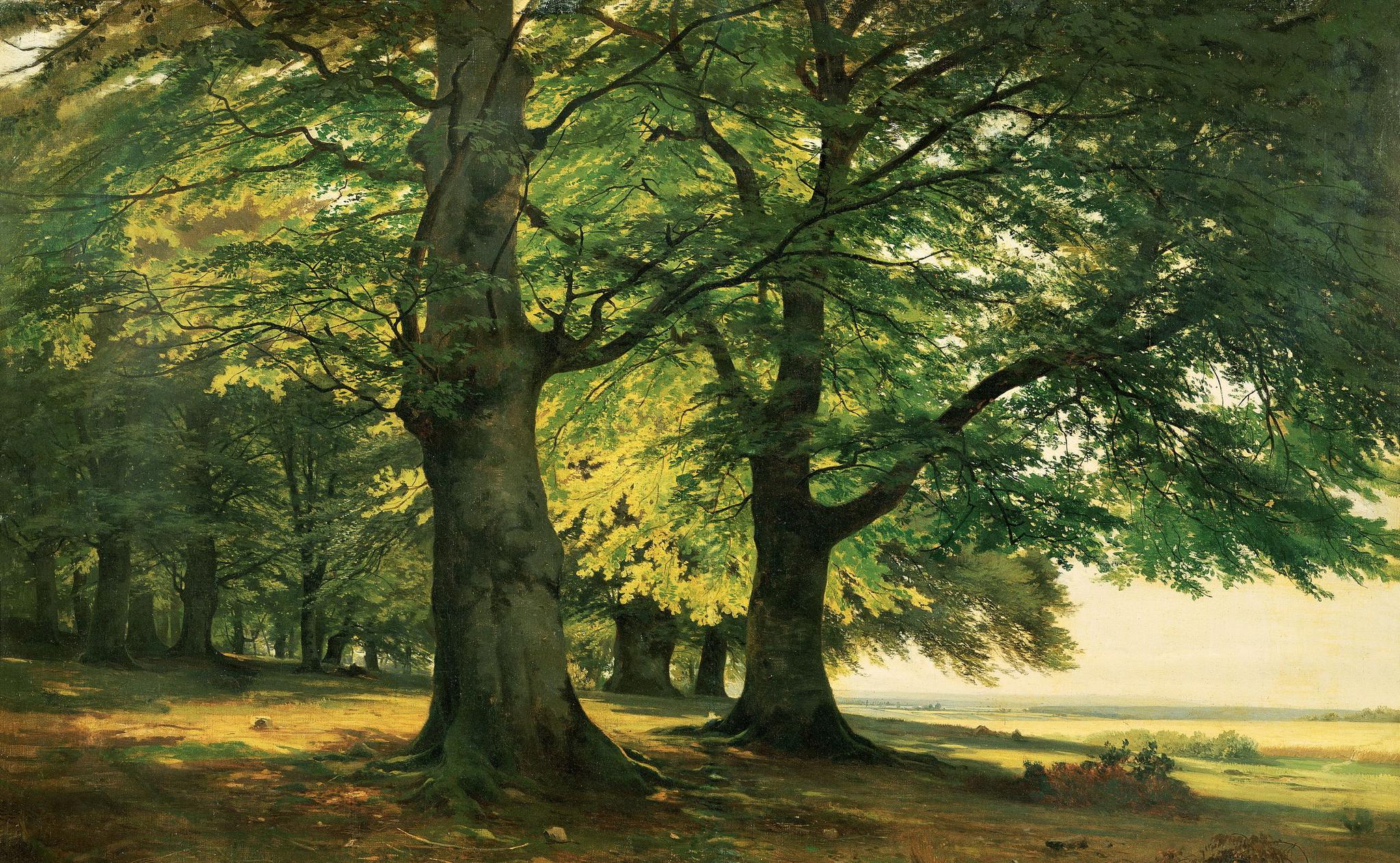 俄国现实主义风景绘画大咖希施金逼真风景油画欣赏