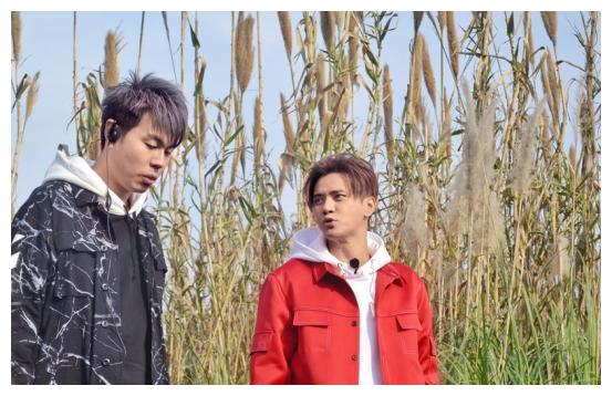 《极限挑战》罗志祥全程不开心!原来是摔倒了!黄磊抱着他太感人