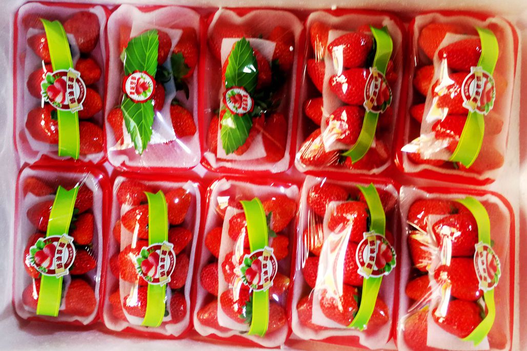 入冬草莓新上市,小盒包装降总价,菜市场水果多销售难言兴旺__财经头条