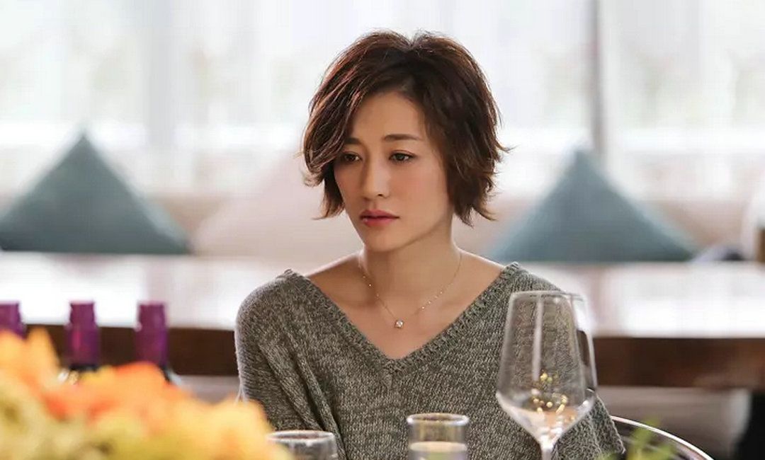 李小冉继月嫂先生后又一部新剧搭档陈道明和刘桦