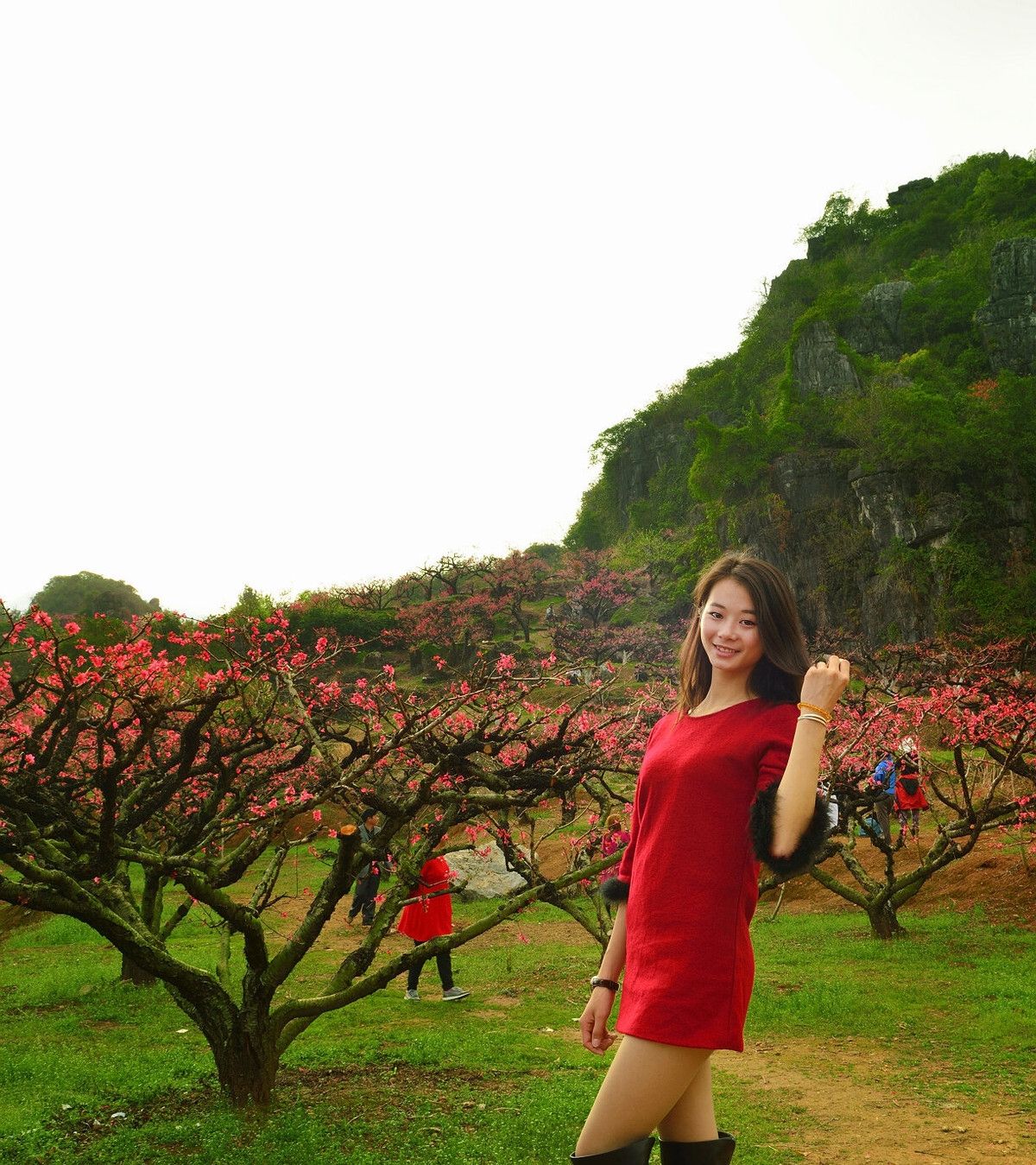 桃花林中桃花运 桃花美人笑春风
