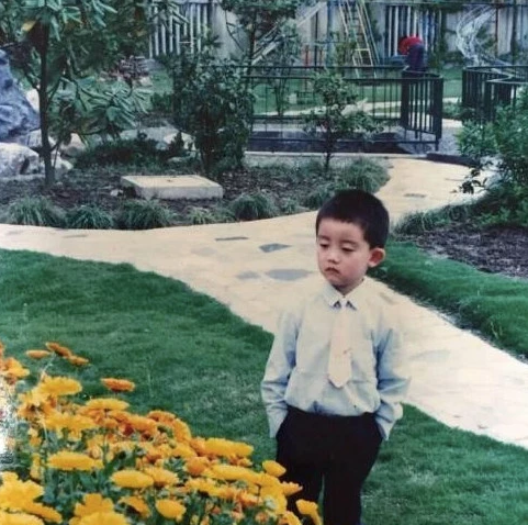 生意的,也算是轻描淡写,直到网上翻出郑恺小时候的照片之后大家才明白