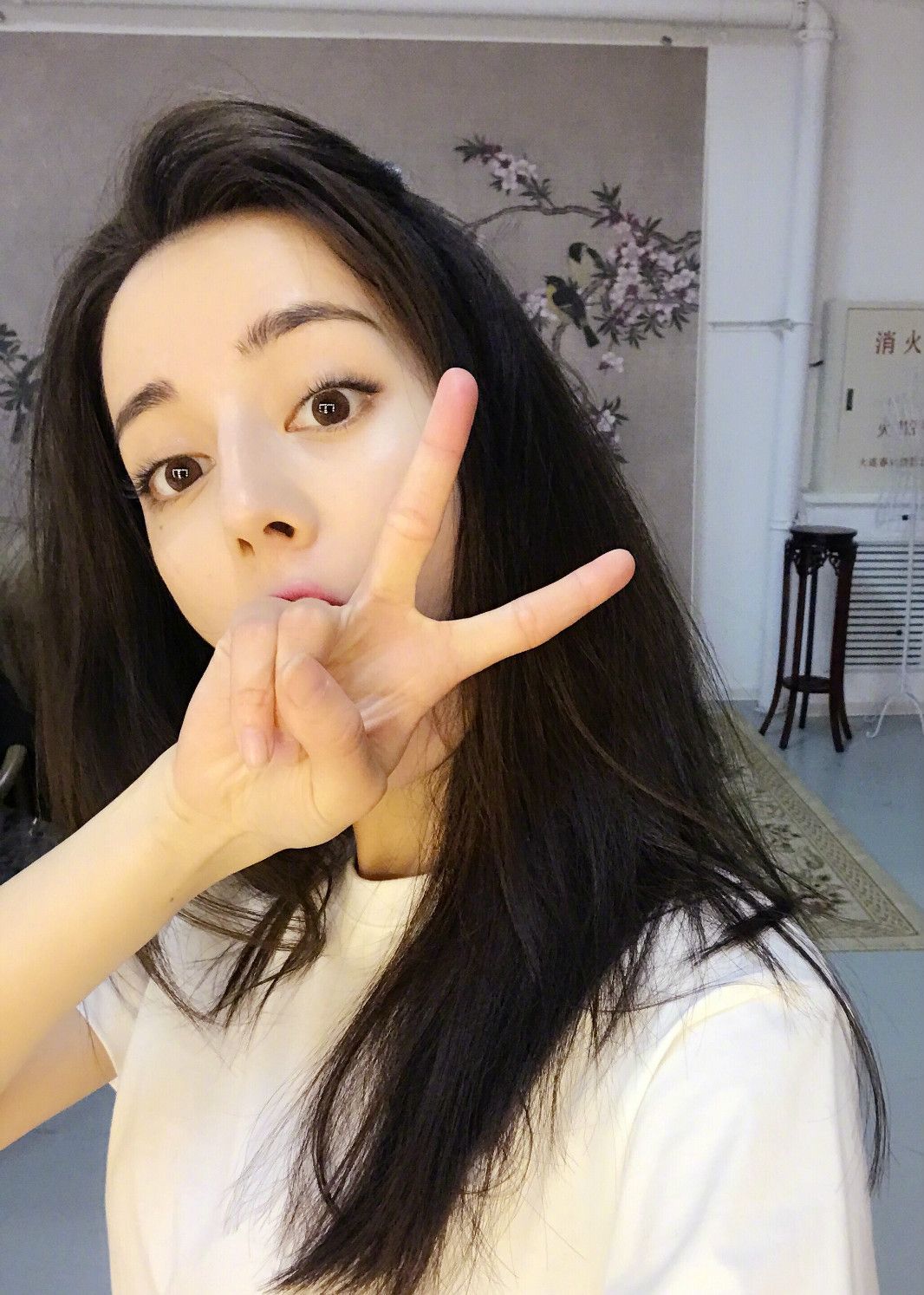 迪丽热巴的8个拍照方式图3搞怪图6女王范图8天生丽质难自弃