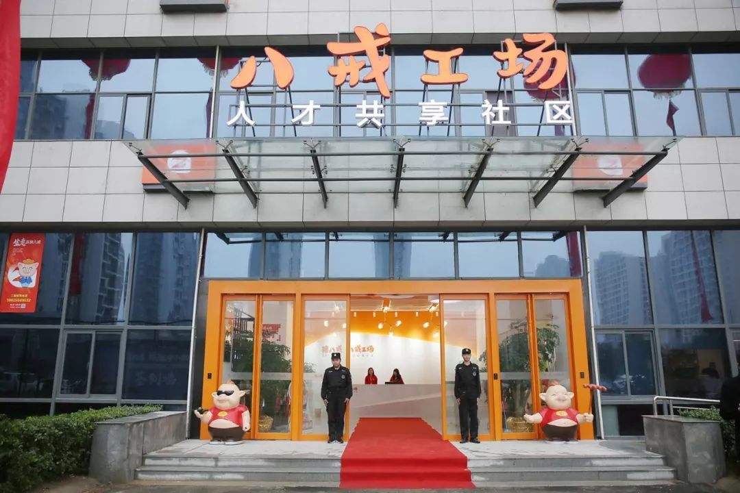 郑州八戒财税服务怎么样?八戒用实力说话