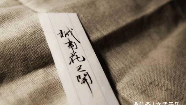 《城南花已开》背后的故事:一个少年的心愿