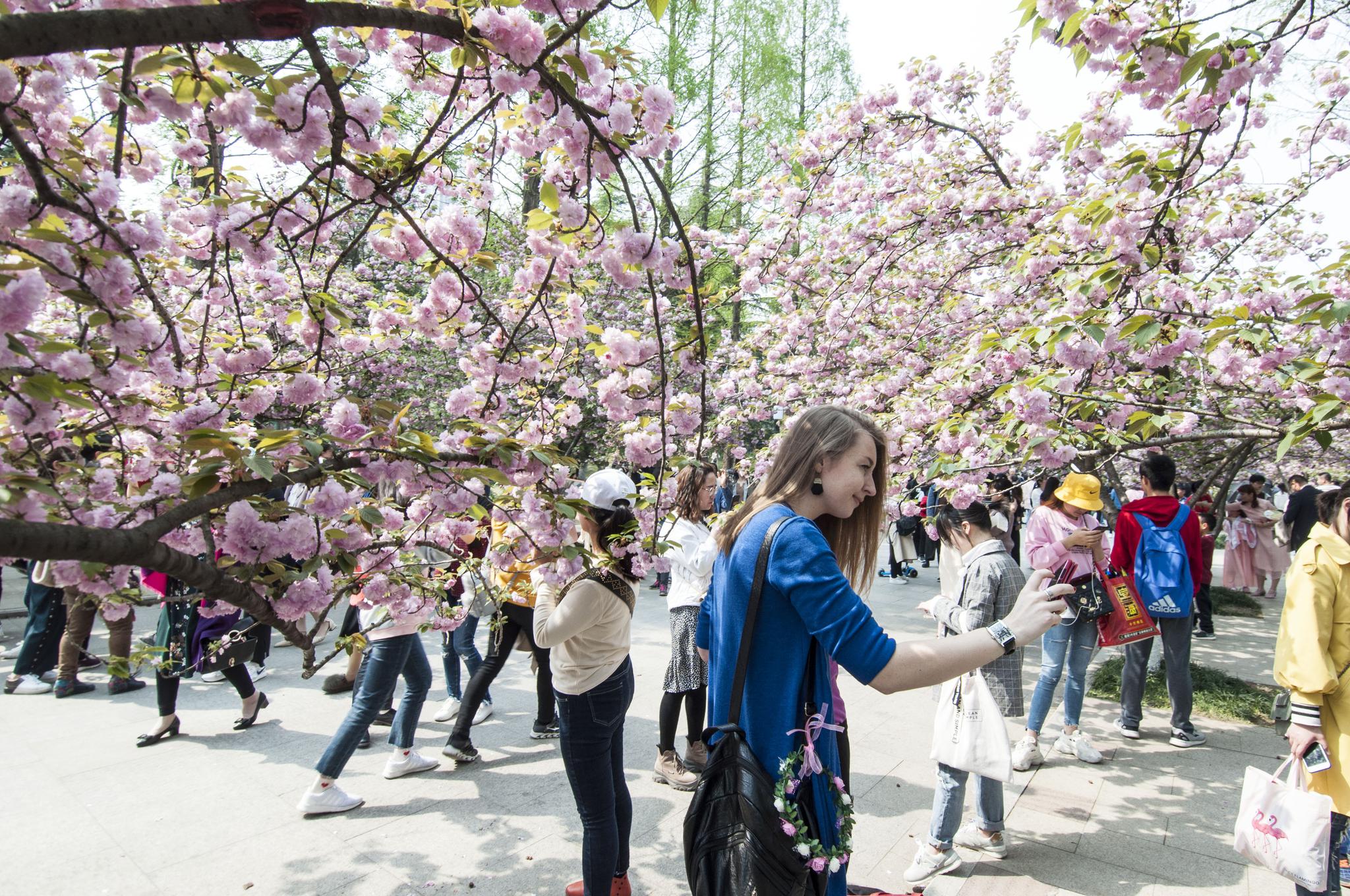 清明假期北京市属公园接待164万游客踏青赏花-新闻频道-和讯网