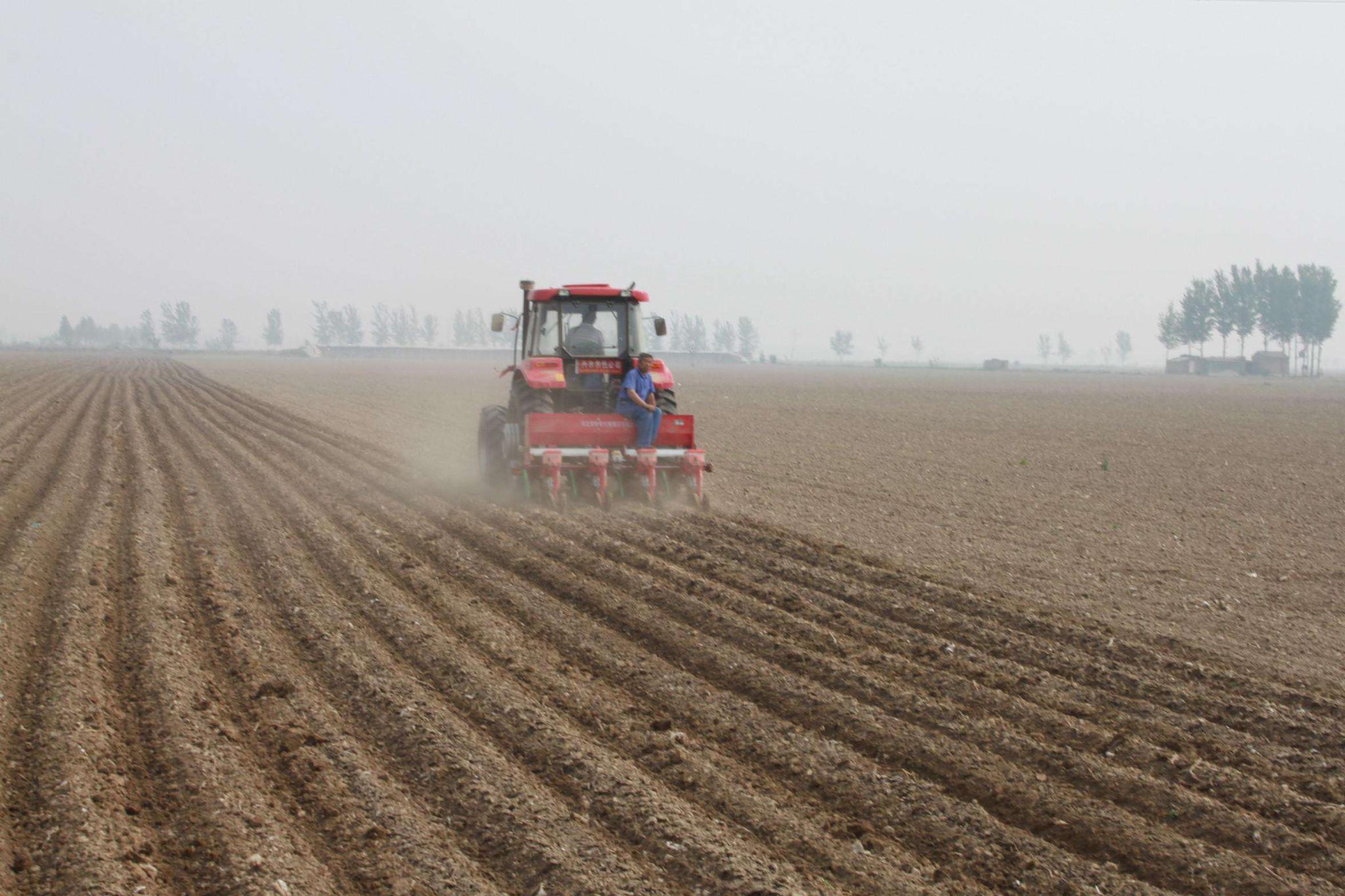 农民很关心的玉米种植方法,你知道吗?__财经头条