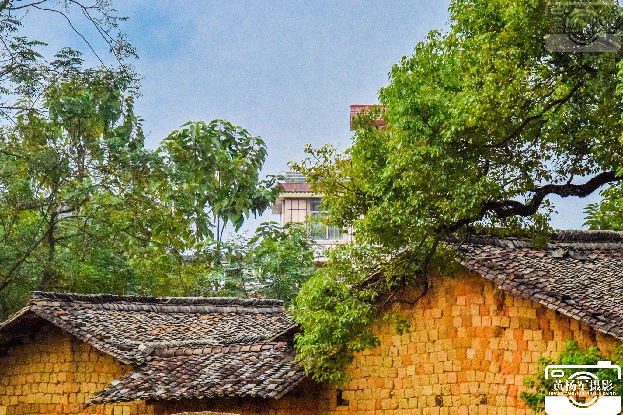 于都县段屋乡段屋村故乡熟悉的乡村风景