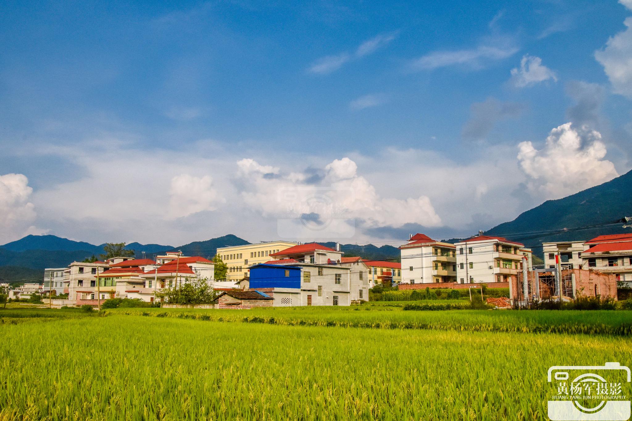 于都县峡山村美丽的乡村风光,秋日多彩的田野,难忘的故乡记忆_高清