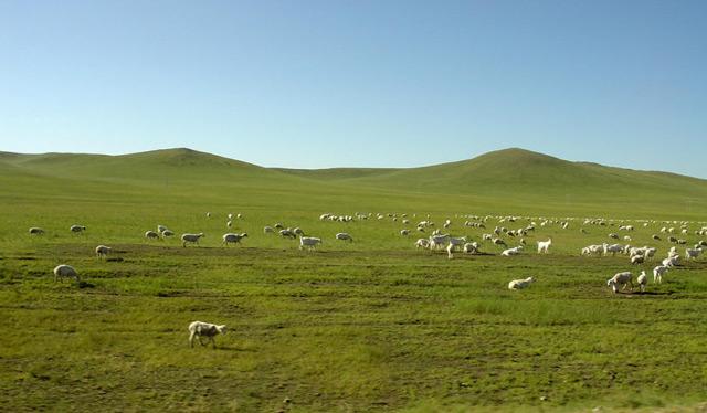 世界上十大面积最大的平原|拉普拉塔|平原|华北平原_新浪新闻