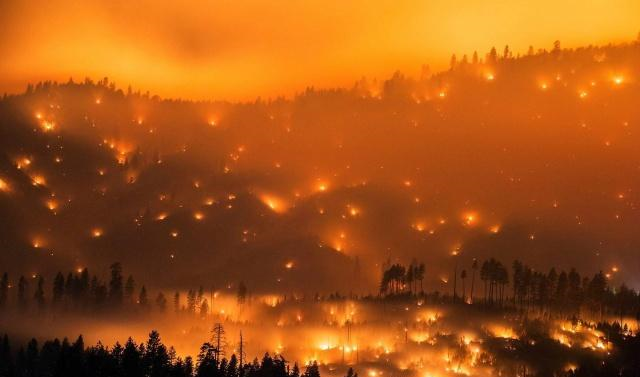 新西兰爆发罕见的森林大火,火势呈燎原之势,一发不可收拾