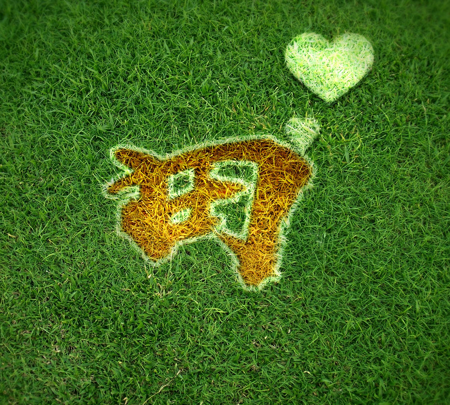 精选了10款绿色足球头像,用不同的姓氏设计制作,热血足球|足球|头像