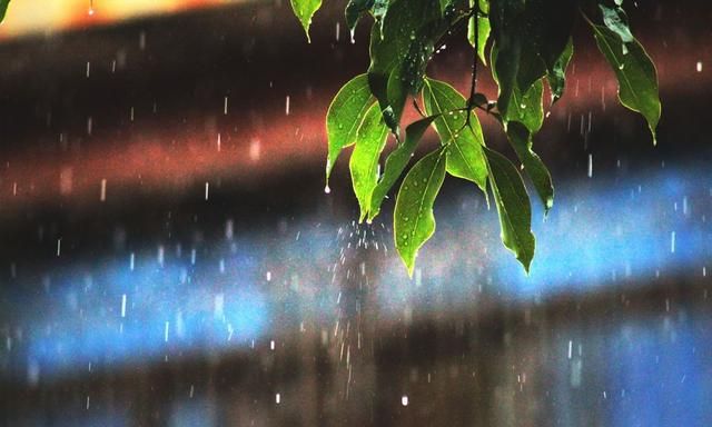 一场细雨像一个美丽的姑娘,温柔细腻,让人心生舒适