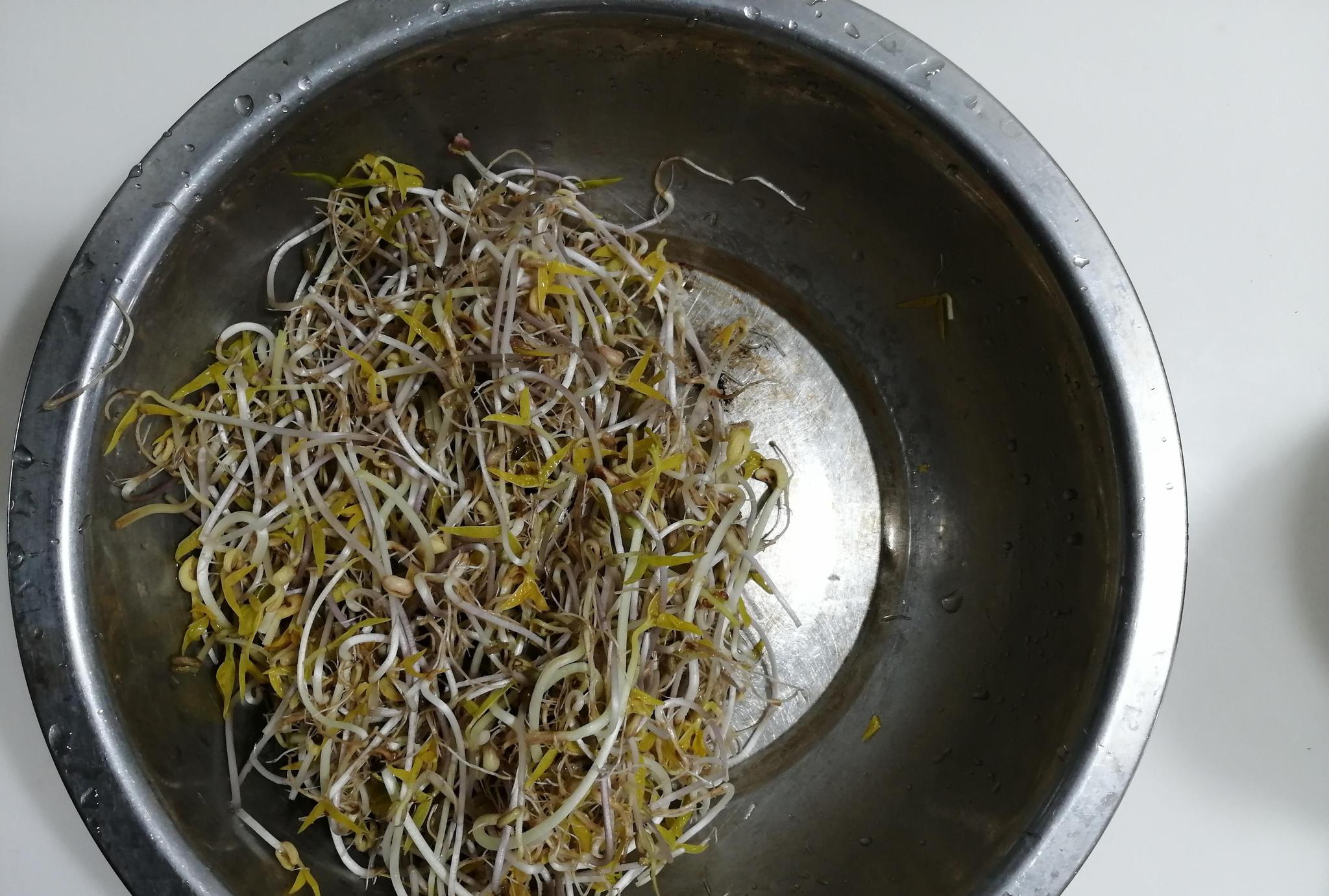 素炒豆芽菜:自家井水发豆芽,有根身细是本色