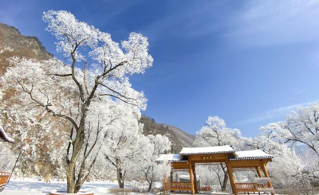 长白山区冬日美|望天鹅景区|十五道沟|长白县_新浪新闻