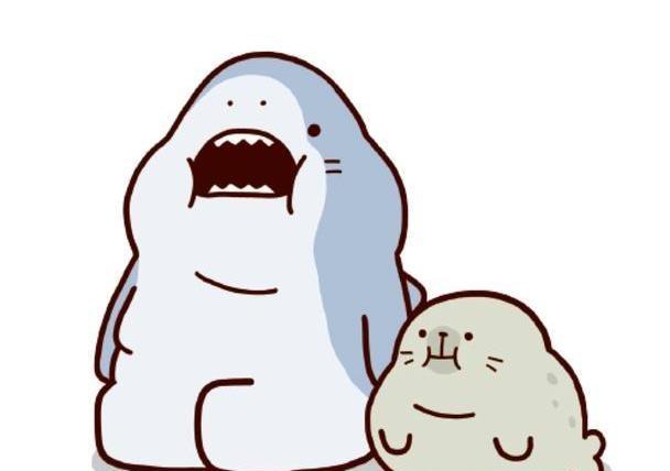 小鲨鱼花式"吃海豹",缓解焦虑法!