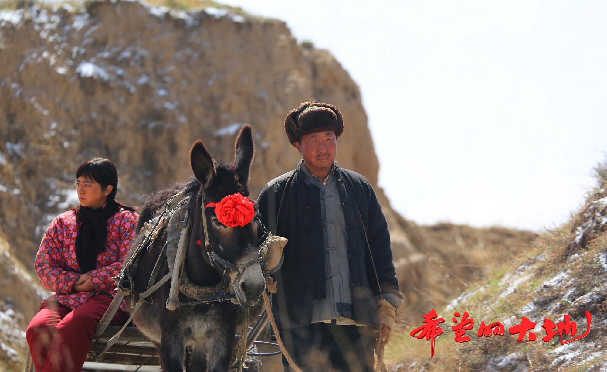 希望的大地央一燃情开播南吉再度演绎大历史下的小人物