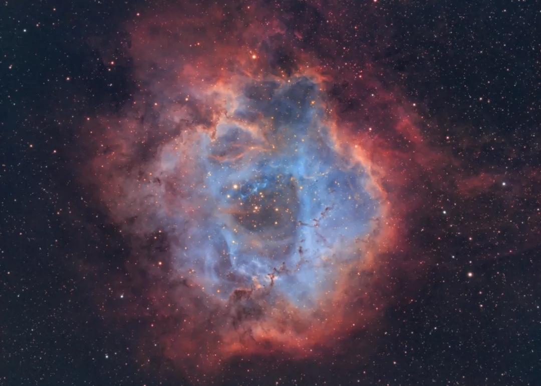 宇宙中永不凋零的玫瑰67蔷薇星云ngc2237