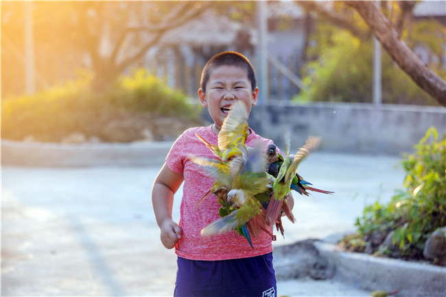 广东这名熊孩子在鸟园喂鹦鹉,接下来遇到的事情让他终生难忘