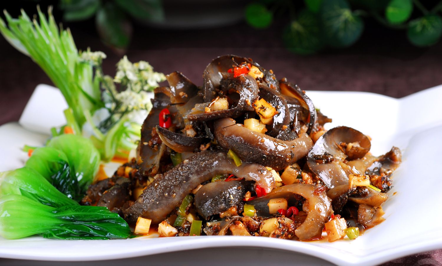 美食图片欣赏——干烧海参和干烧海肠