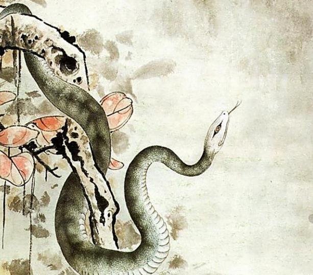 属蛇人口毒_属蛇77年微信招财头像