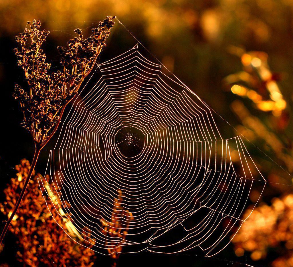 解读摄影构图中节奏的运用普通场景也能拍出韵律美