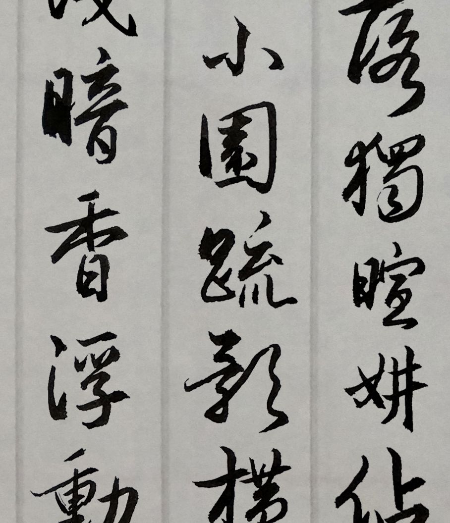 胡维平行书林逋山园小梅