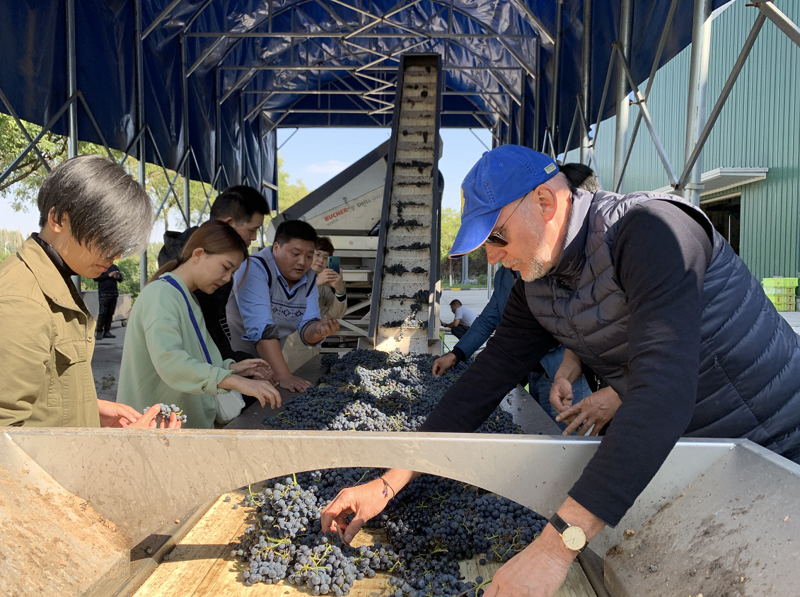 宁夏银川葡萄酒酿造体验乐趣浓