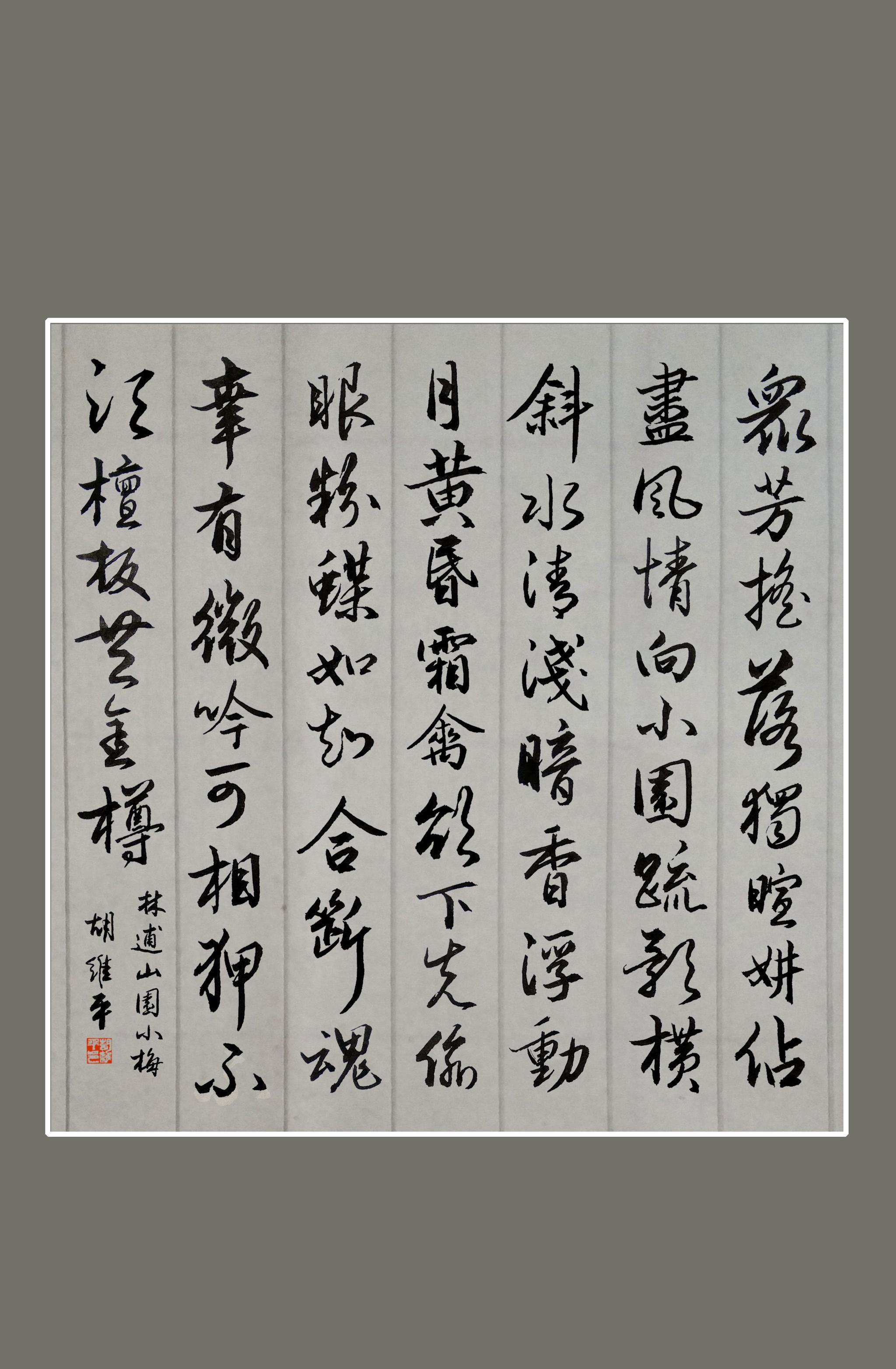 胡维平行书林逋山园小梅