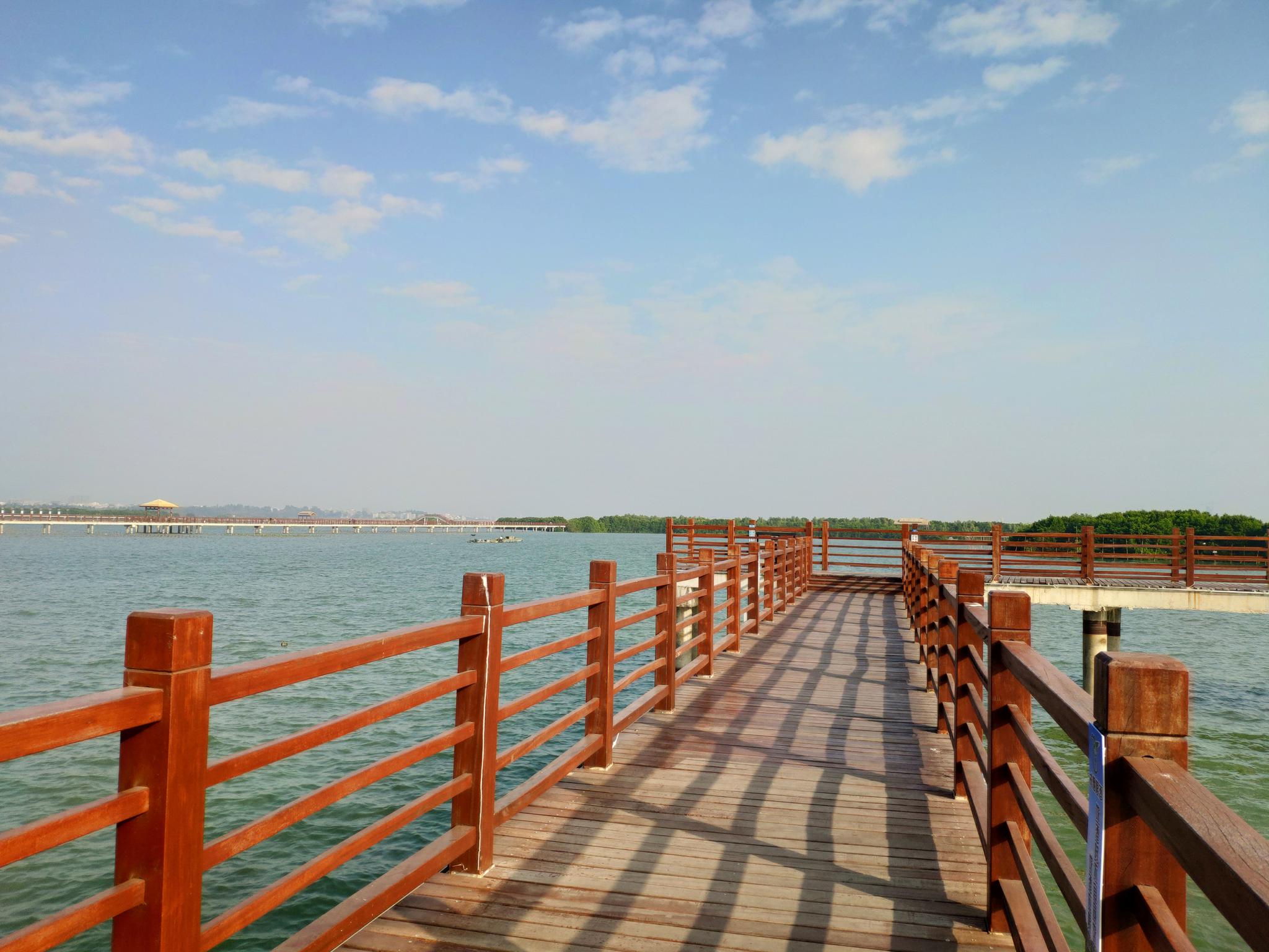 陕西省侨联“侨领侨胞故乡行”活动走进汉中留坝