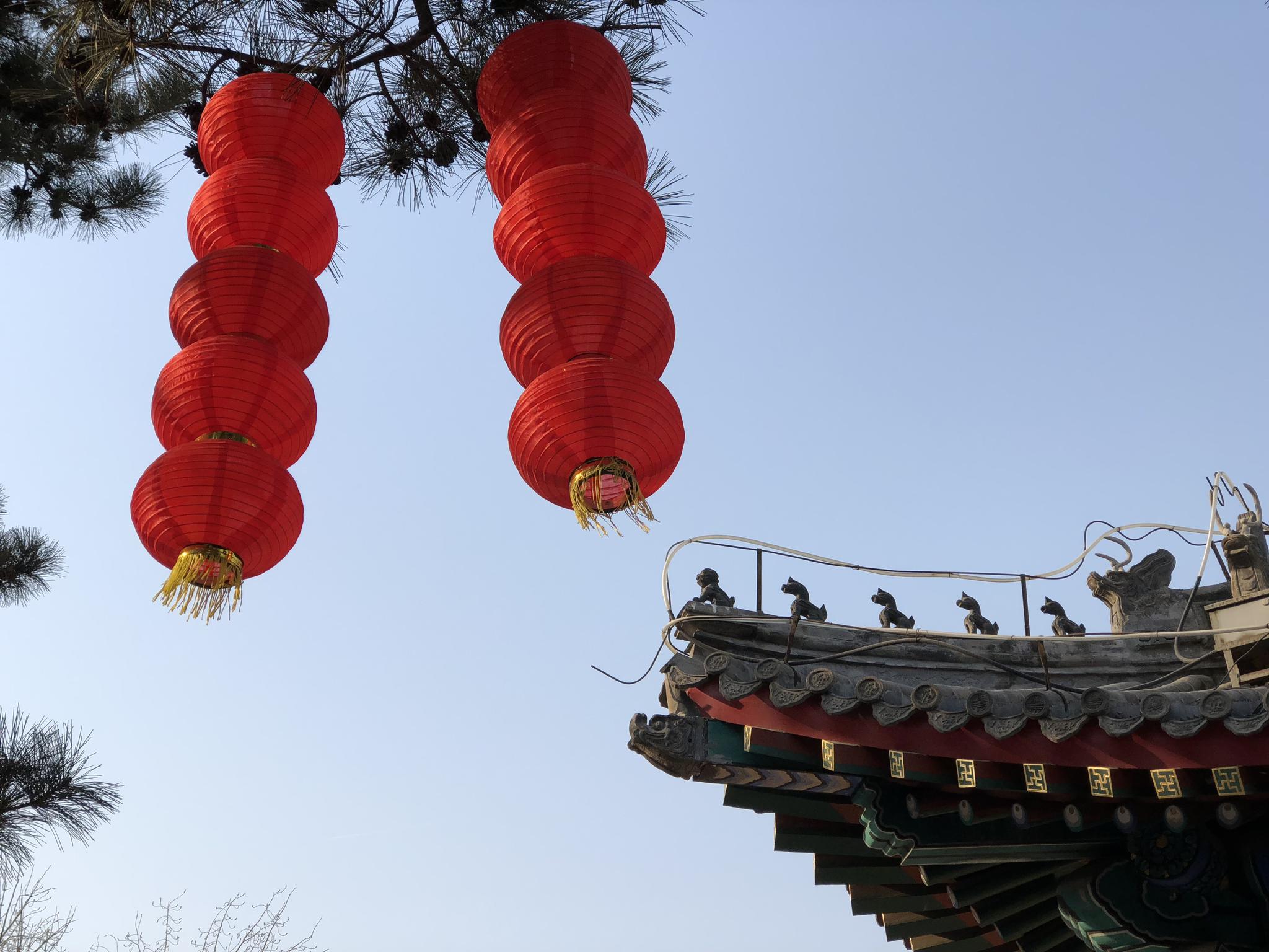 春节假期的圆明园遗址公园:大红灯笼高高挂