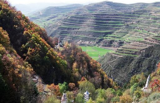 甘肃省张家川县卧龙古寺简介