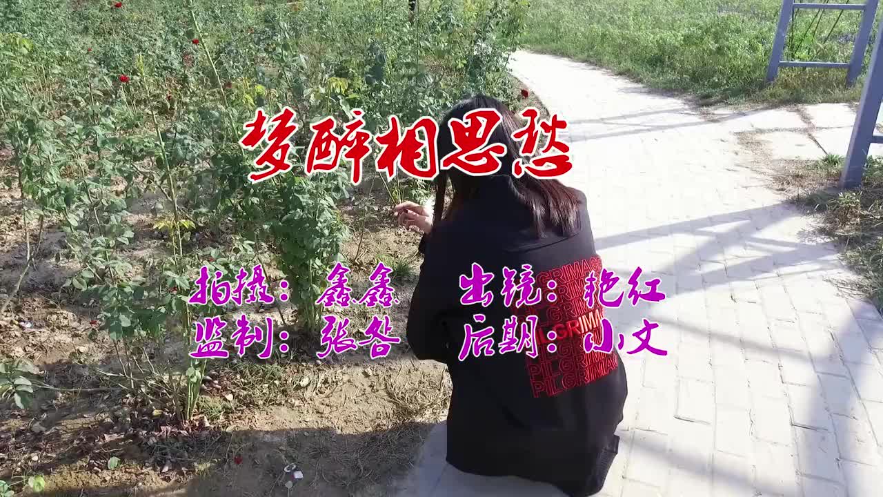 一首伤感民谣《梦醉相思愁》歌声入人心听哭多少痴情人