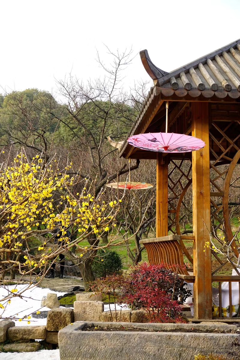 江南著名的赏梅胜地之一无锡梅园猪年来临前已经有浓浓的年味了