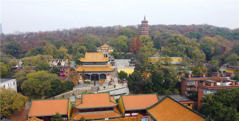 航拍宝通寺百年银杏和洪山风光