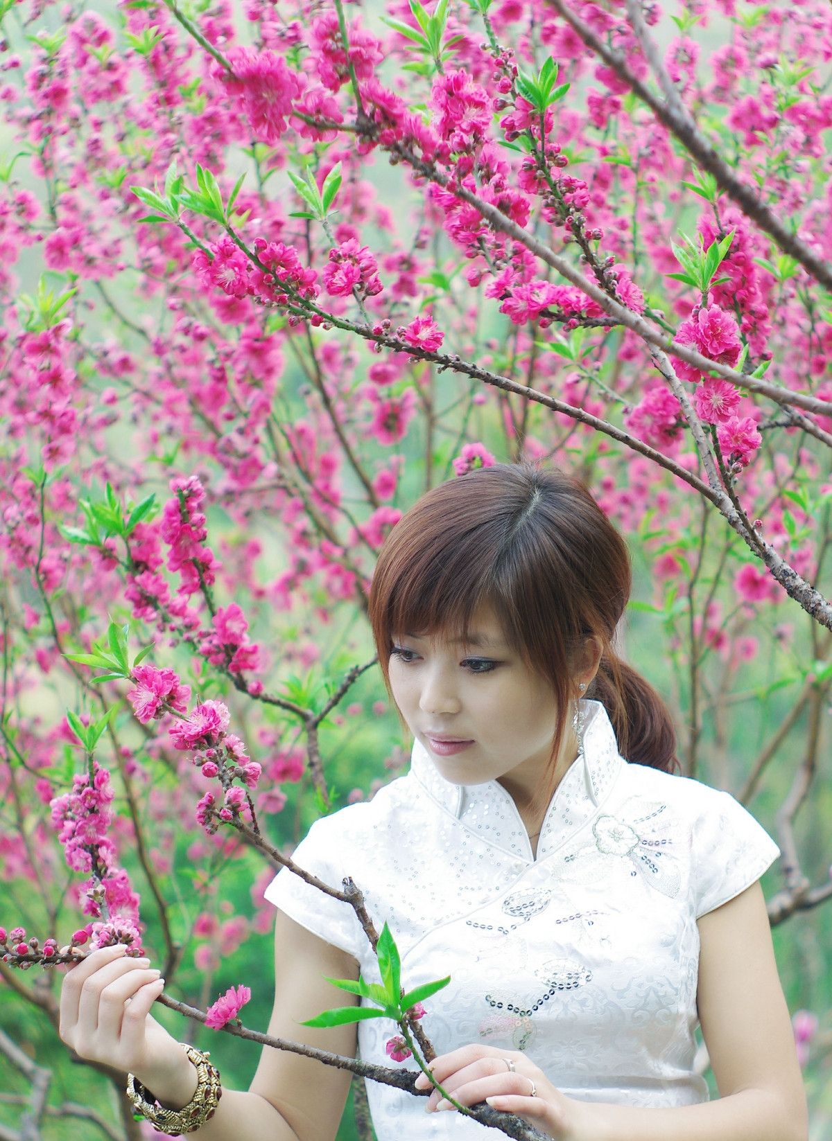 桃花林中桃花运 桃花美人笑春风