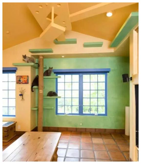 当设计师遇见猫咪,这房子装点得让人想哭,网友:贫穷限制了我的