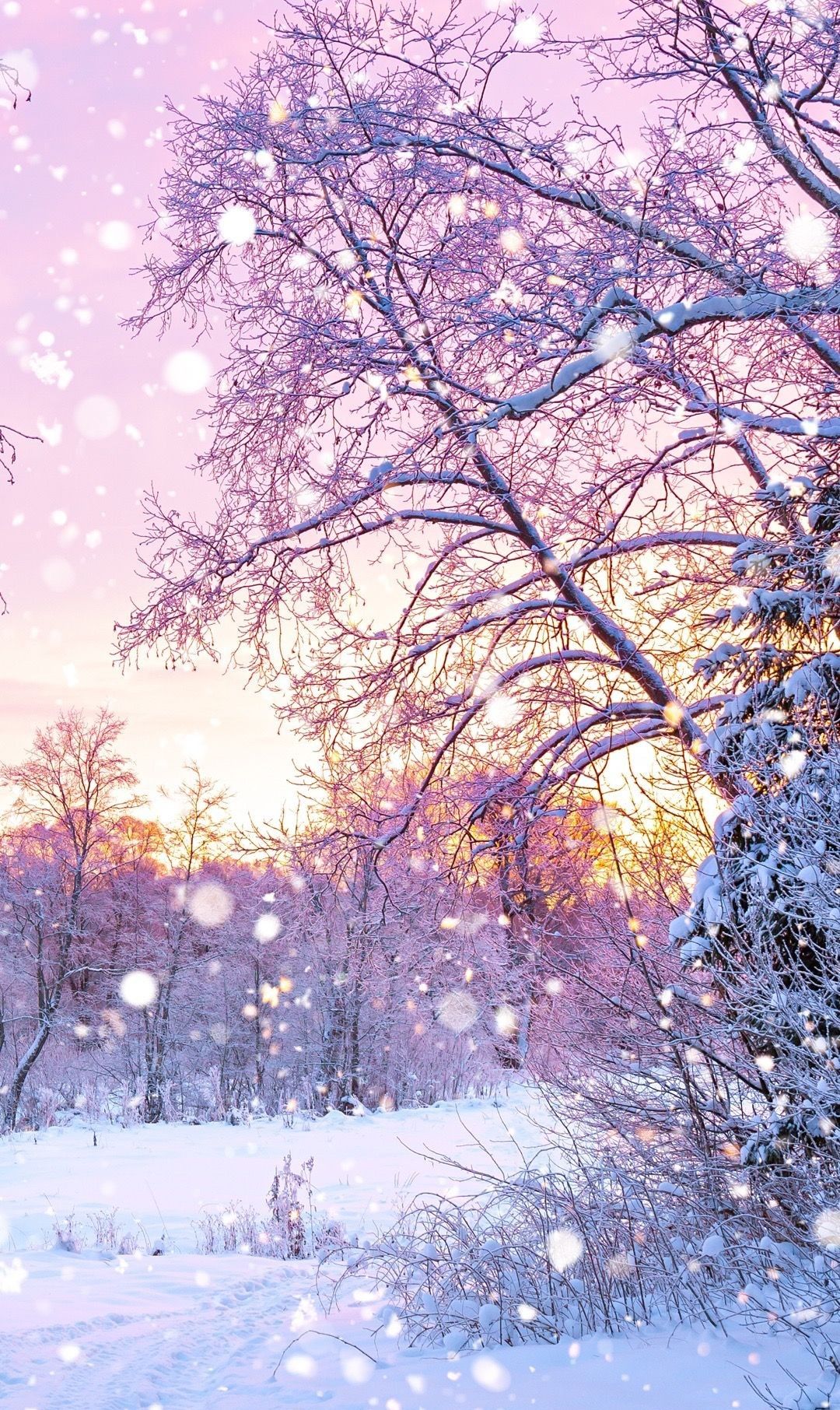 有关雪花的手机壁纸来让手机融入到这冰天雪地的美丽世界吧