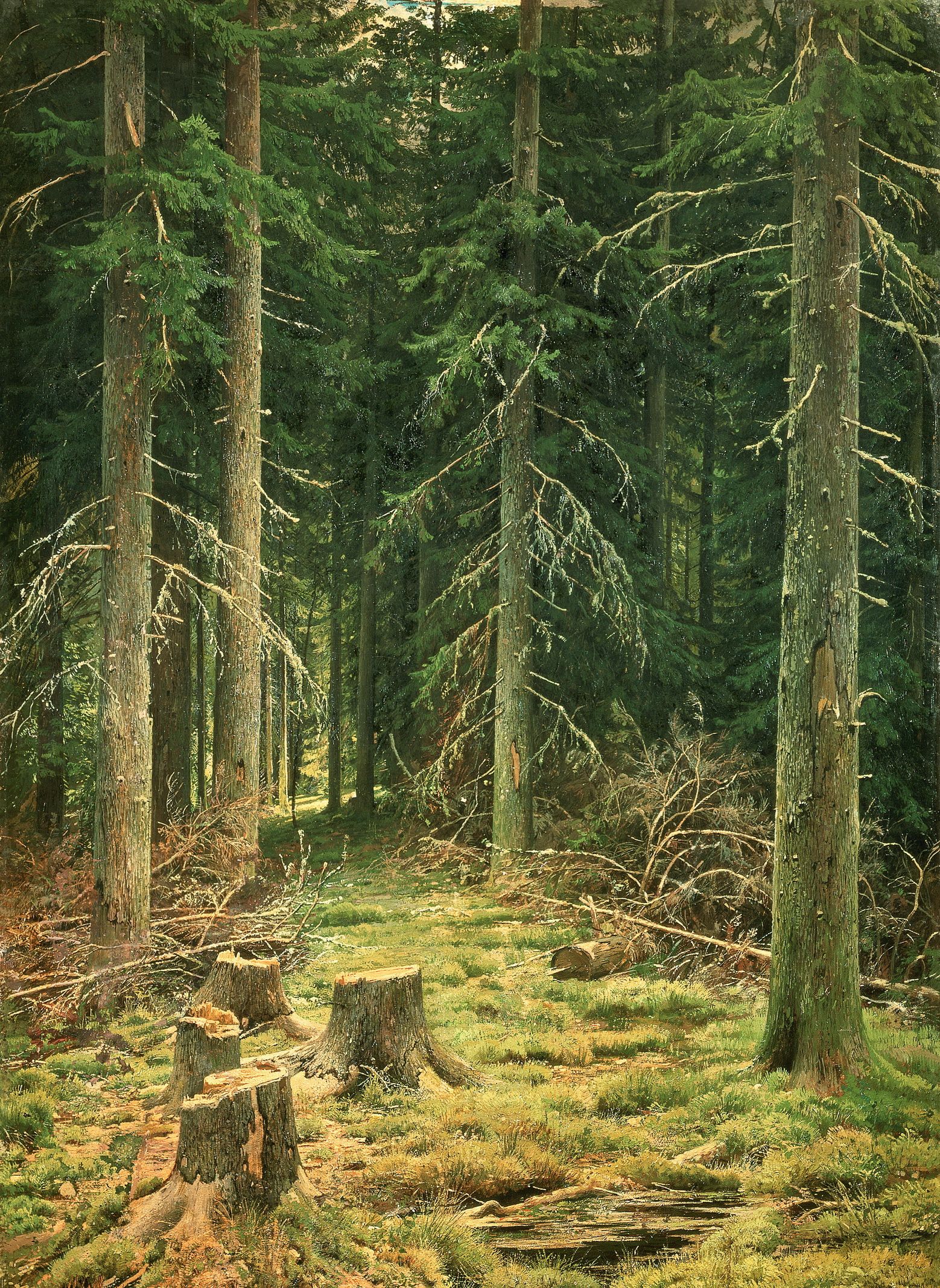 俄国现实主义风景绘画大咖 希施金 逼真风景油画欣赏