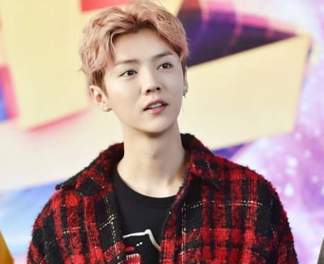 娱乐圈中姓鹿的明星:图一人尽皆知,而她却已经被大众遗忘!