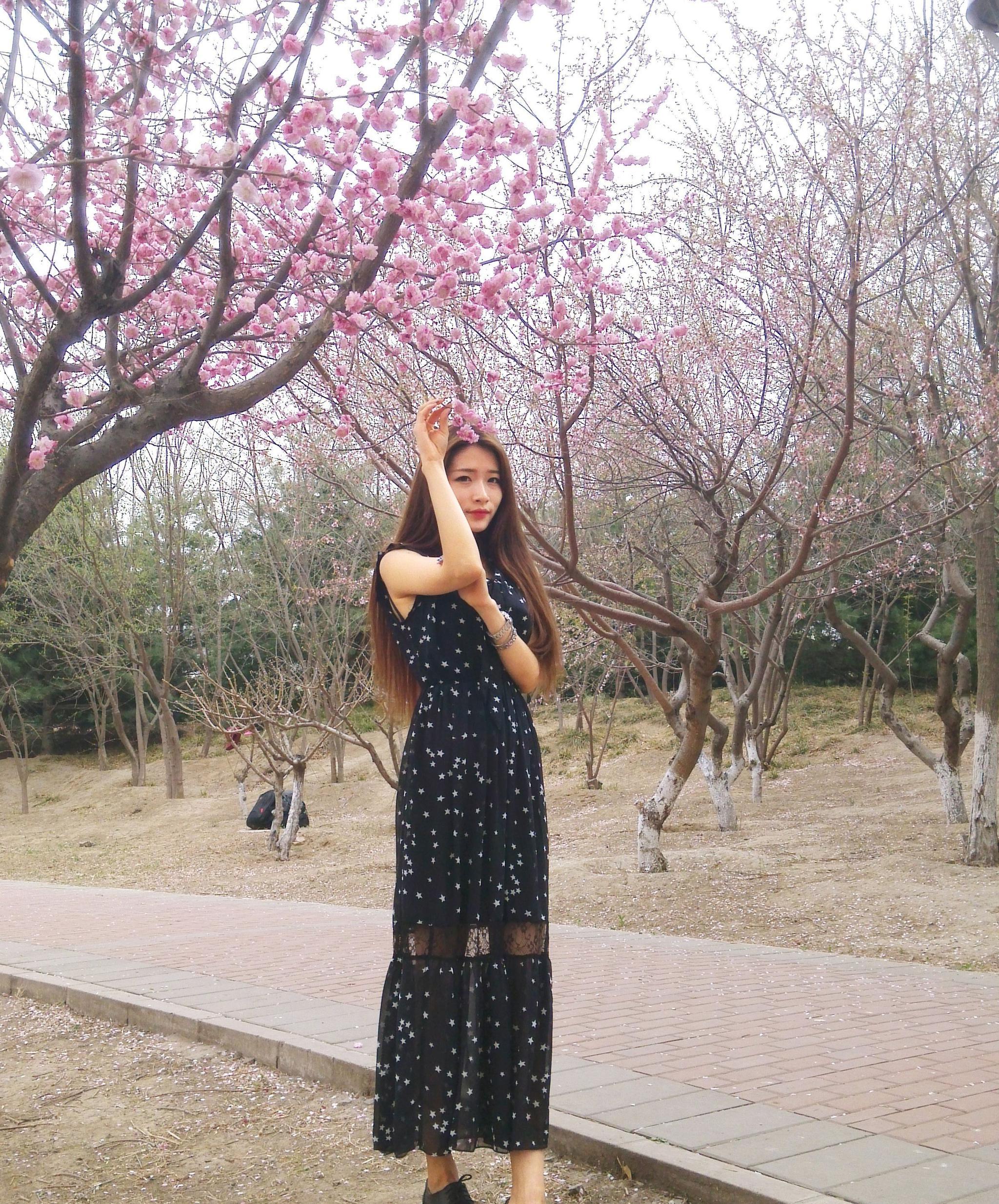 桃花林中桃花运 桃花美人笑春风
